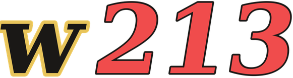 w213 logo
